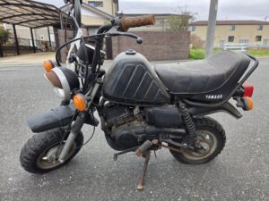ポッケ５０
