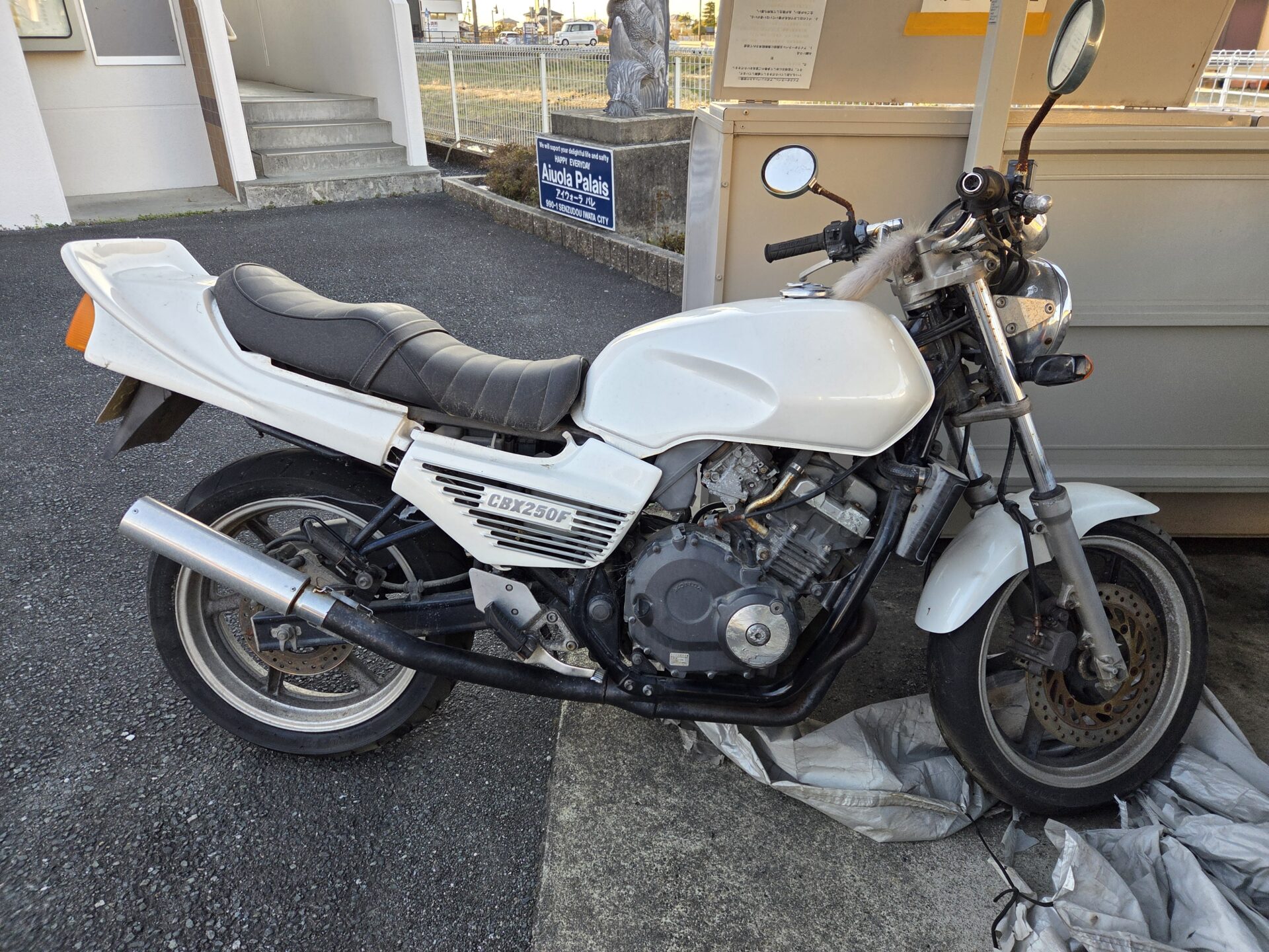 ジェイド２５０